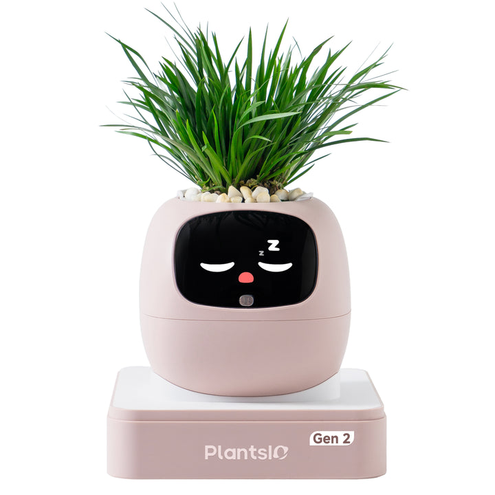PLANTSIO Ivy Gen 2智能盆栽