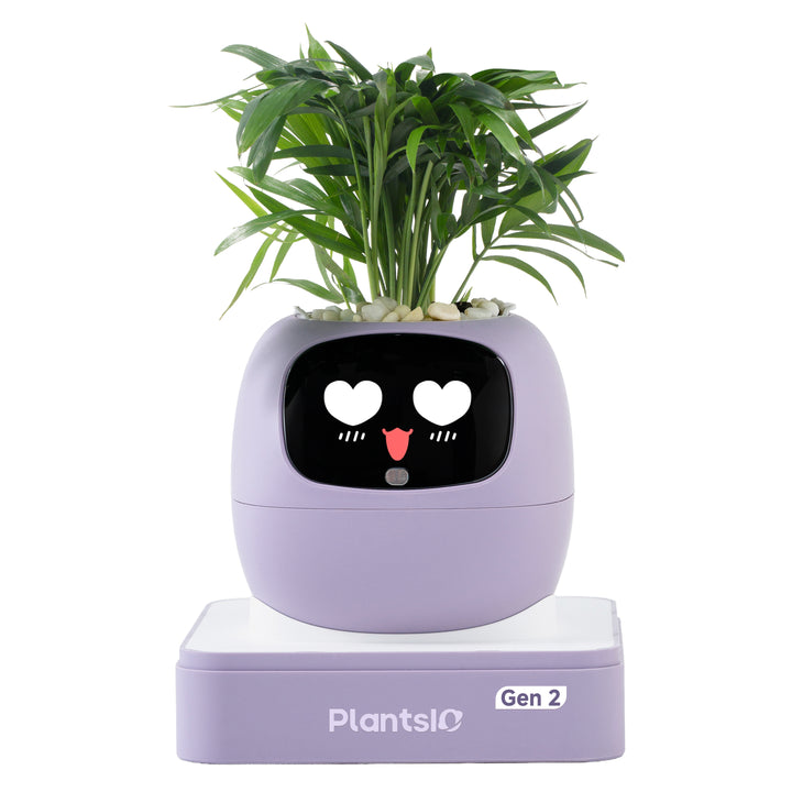 PLANTSIO Ivy Gen 2智能盆栽