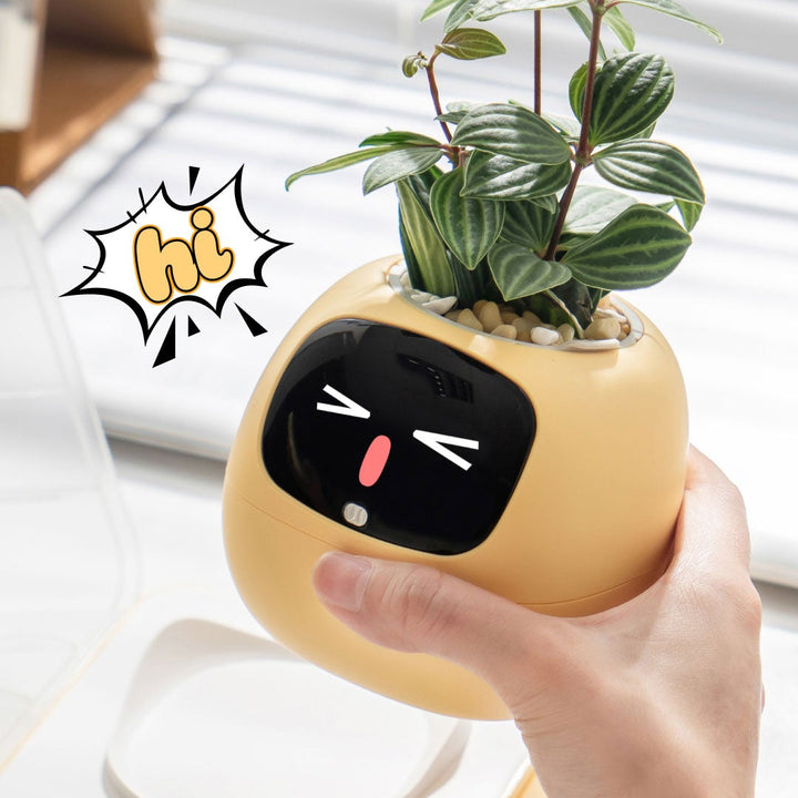 PLANTSIO Ivy Gen 2智能盆栽