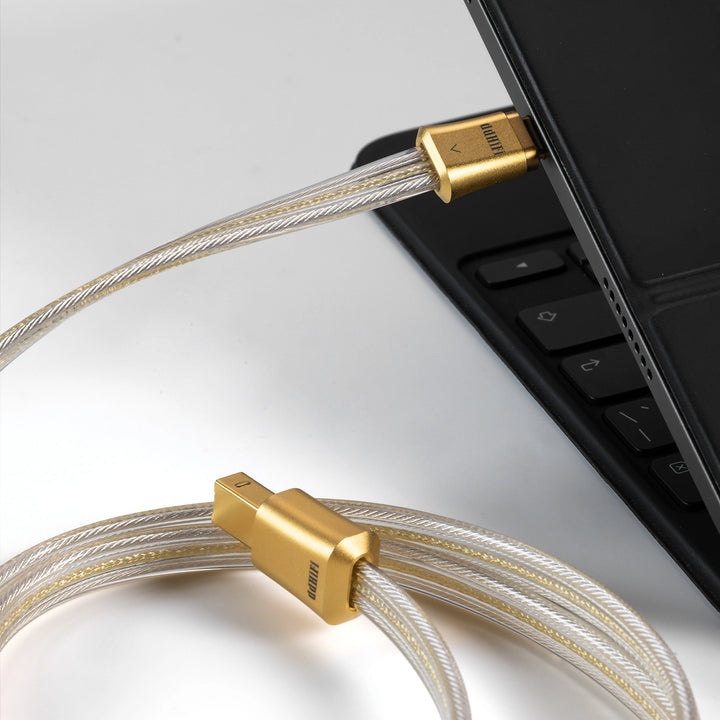 ddHiFi TC19BC Gold 純銀數碼訊號線 Gold 版